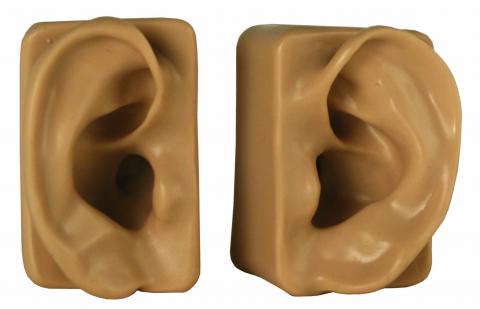 Demo Ears