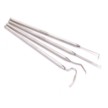 Stainless Steel Probe Set