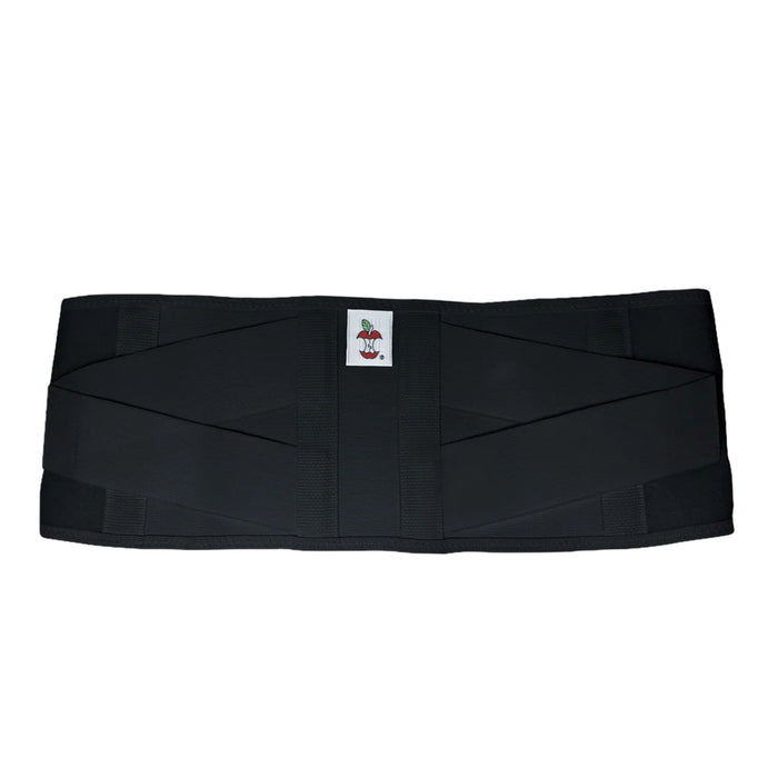 CorFit System LS Back Support