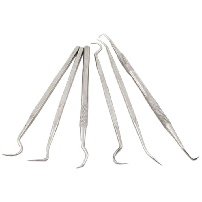 Six Assorted Dental Picks