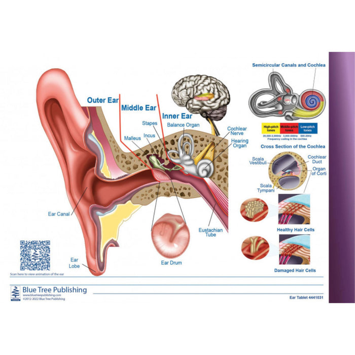 The Ear TearOff Tablet